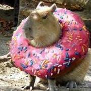 Mariathecapybara