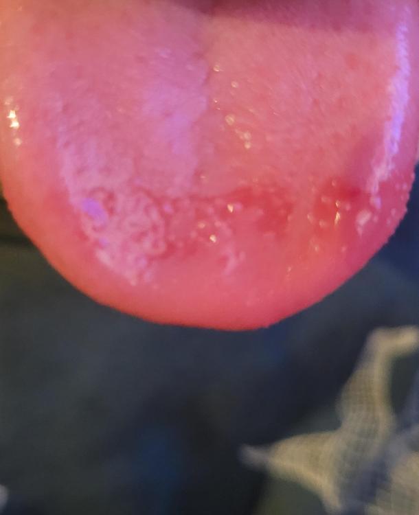 20240104_192747.thumb.jpg.5f1885c2298b1c63134035f0c644c6ff.jpg