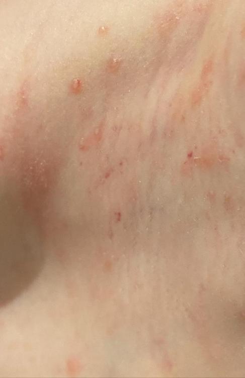 IMG_0137.thumb.jpeg.1176b2d9502f611b4d4f0c601879bd6e.jpeg