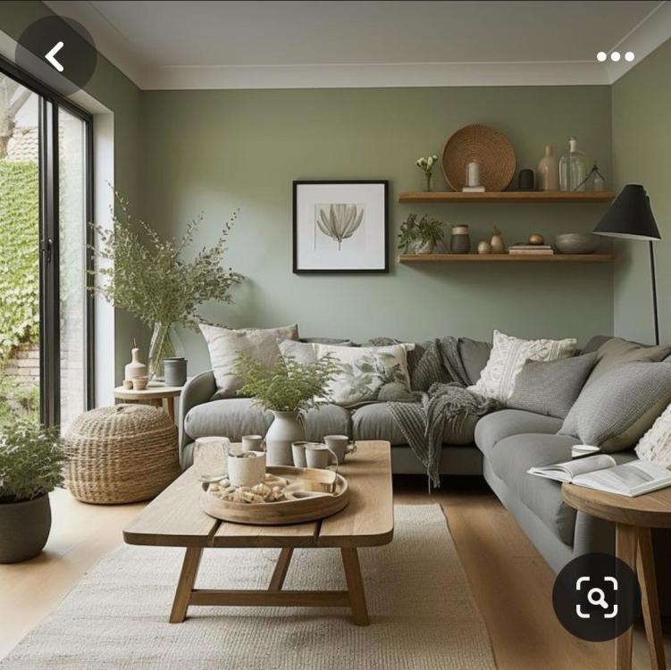 Screenshot_20240305_083046_Pinterest.thumb.jpg.0c79203bec9cbe893928e0e83f0cc506.jpg