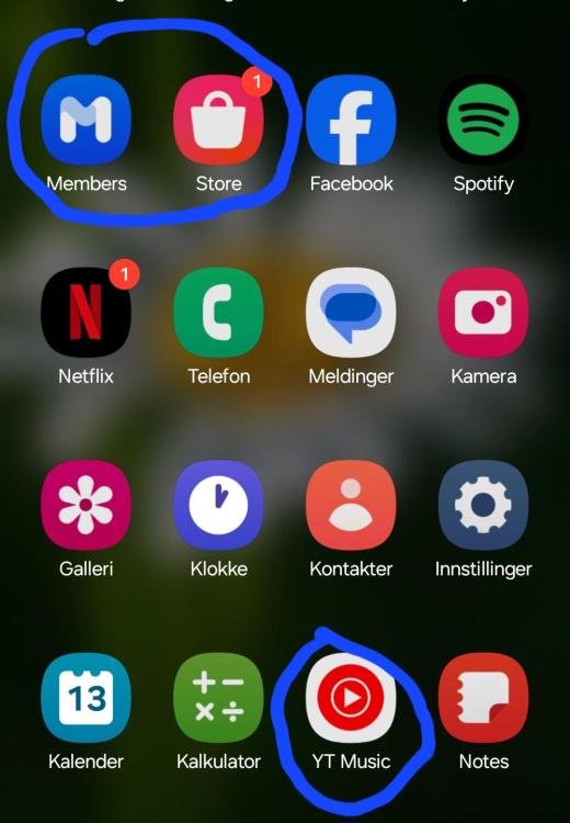 Screenshot_20240313_130052_OneUIHome.thumb.jpg.d5a9b42edb4a81566880475c721edc8b.jpg