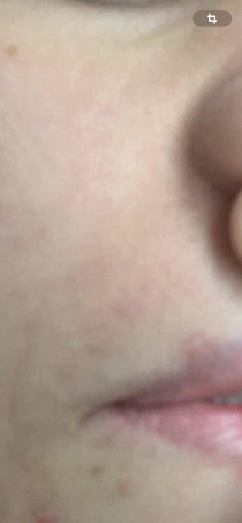 IMG_1648.thumb.png.8109ddaa92c2e05c7d6a2a96d2b1b950.png