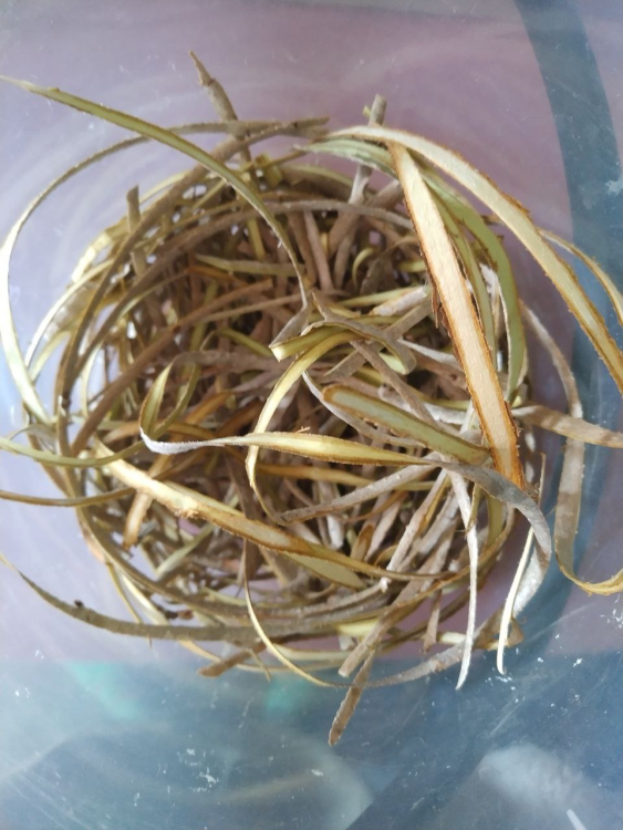 image.thumb.png.dc53eec21f98024443540851da93fa04.png