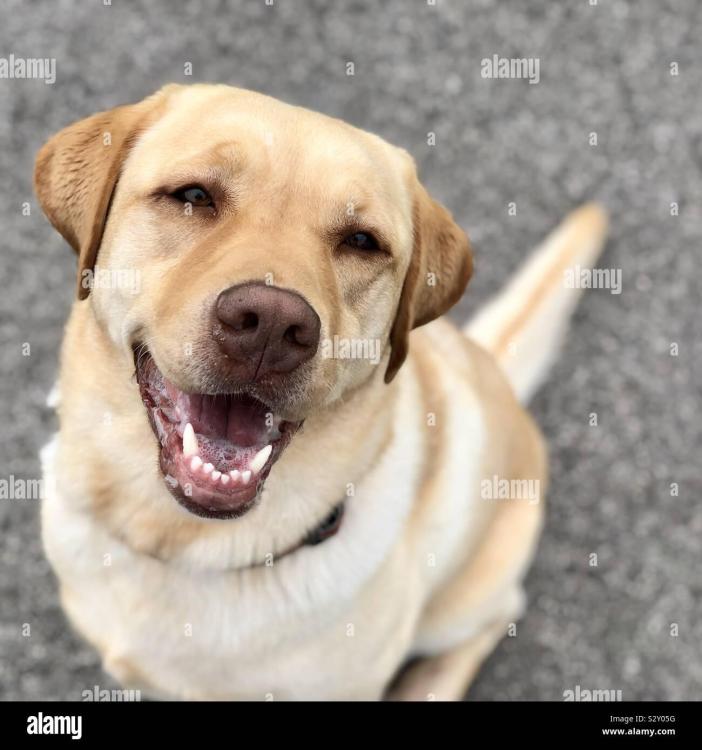 image.thumb.jpeg.a2032f8ff61181a7003026bb65753ce5.jpeg