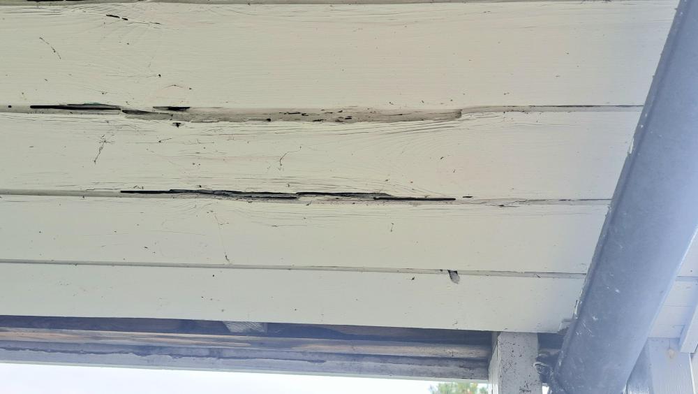 20240510_181605.thumb.jpg.7d1169f1598c571db8768672213a88f0.jpg
