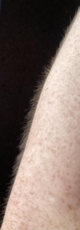 IMG_5660.jpeg