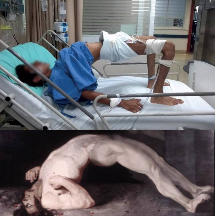 image.thumb.png.cf44753782110efe4ec317d7256ac969.png