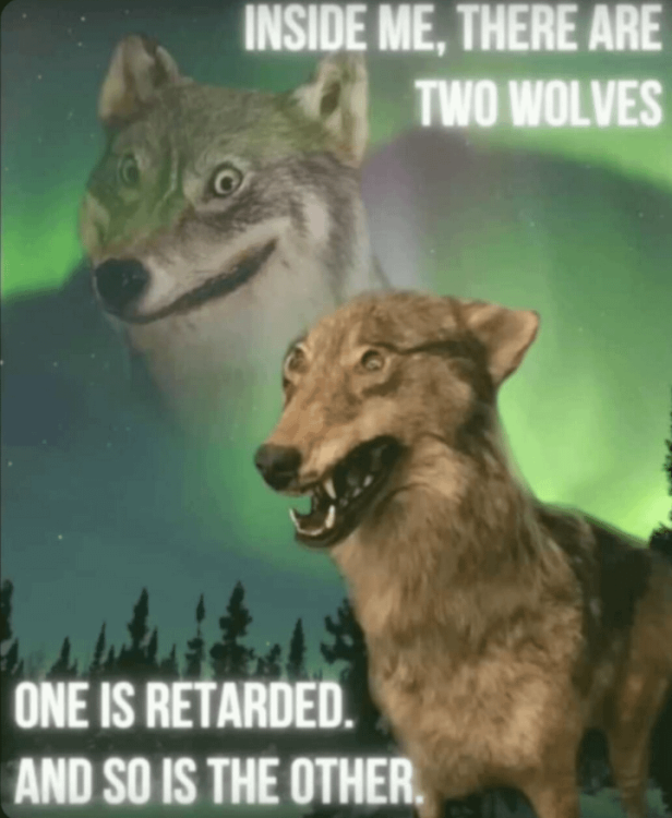 theres-a-tarded-wolf-in-all-of-us-v0-rlnkdkfysezc1.thumb.png.ad8c13ecfc14baafb096dbeb6b222ed3.png