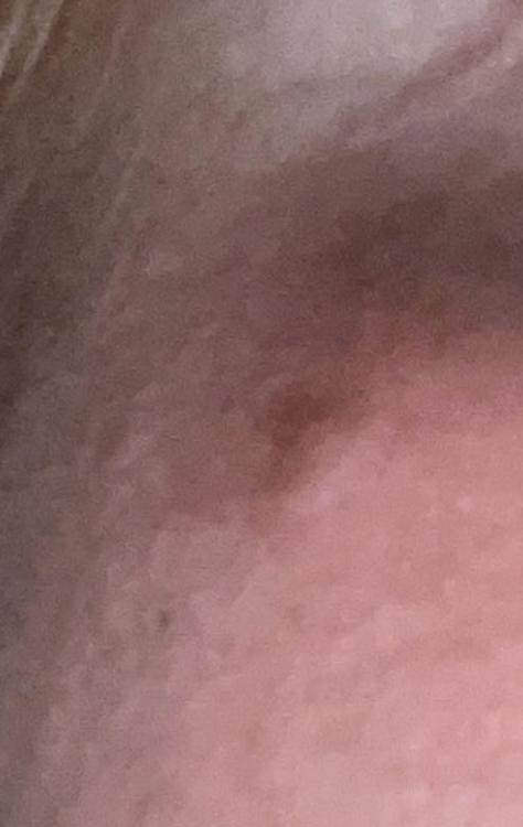 IMG_6778.jpeg