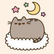 PusheenPusheen