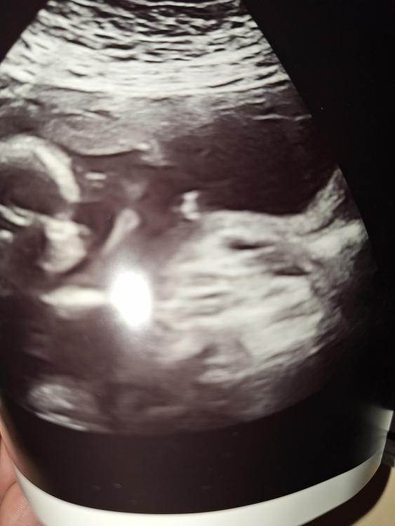 20240909_231908.thumb.jpg.3432536ea0019d5483a645cb886dde64.jpg