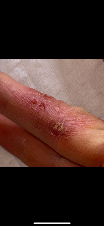 IMG_3294.thumb.png.fb8c652ff43a6cad36140e7a1555759b.png