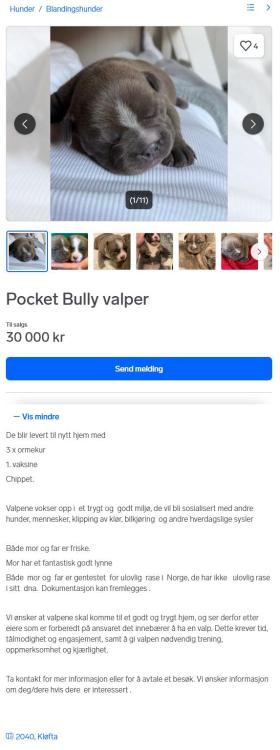 PocketBullyvalperFINNtorget.thumb.jpg.7338679881136bee461aaa4200417af7.jpg