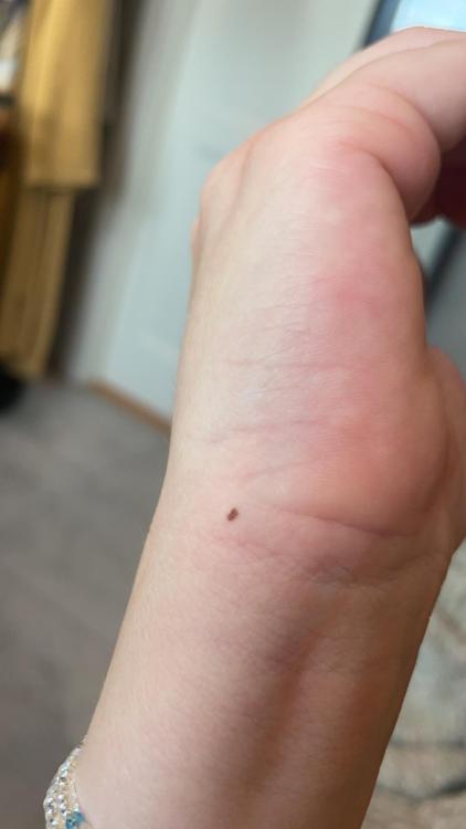 IMG_0277.thumb.jpeg.b9814048563c1124d883ee1b3f8f2b75.jpeg