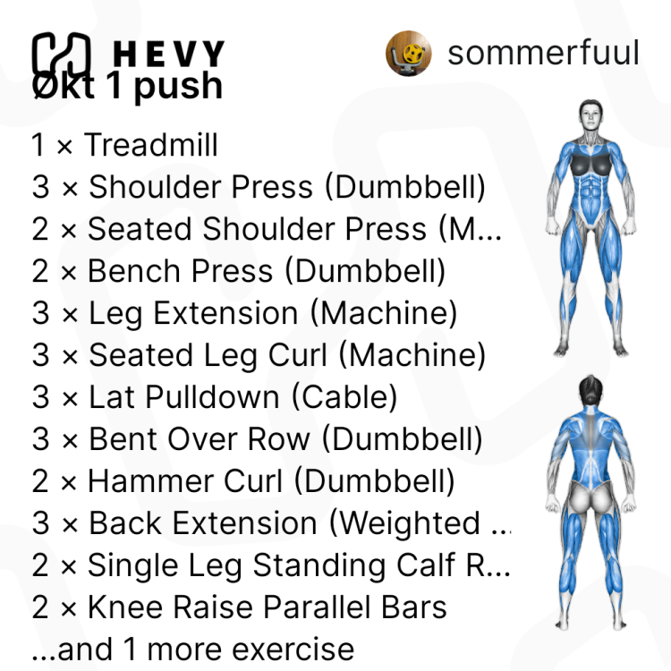 sommerfuulsworkout2024-12-2209_44_41.thumb.png.2937210ba33c50258a3a6c4c330127f9.png