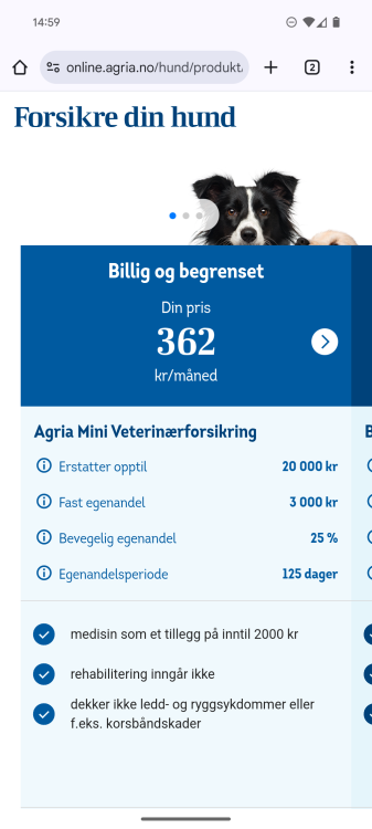 Screenshot_20250323-145947.png