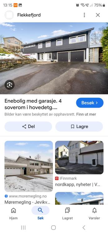 Screenshot_20250424_131529_Google.jpg
