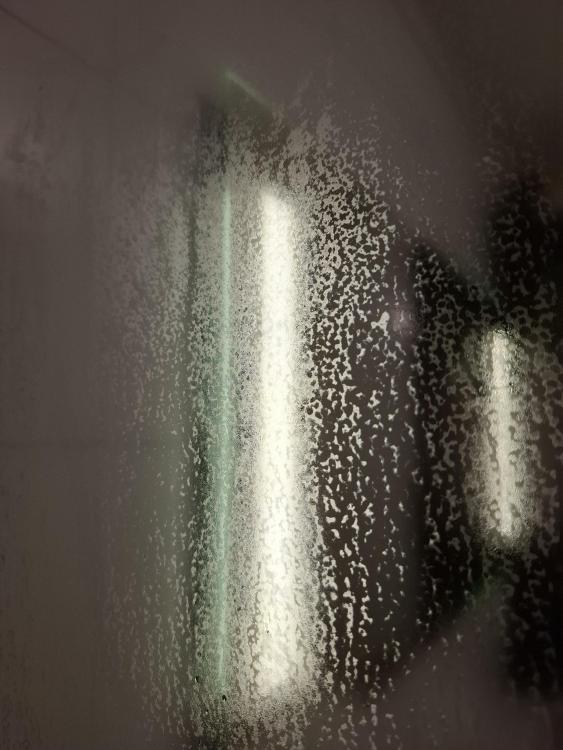 20250501_155620.jpg