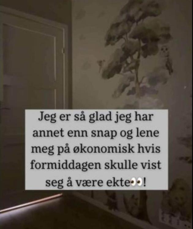 IMG_4337.jpeg