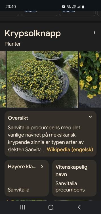 Screenshot_20250506_234039_Chrome.thumb.jpg.f331aa9ba8cacdbbc54e2e9ef21ecdb7.jpg