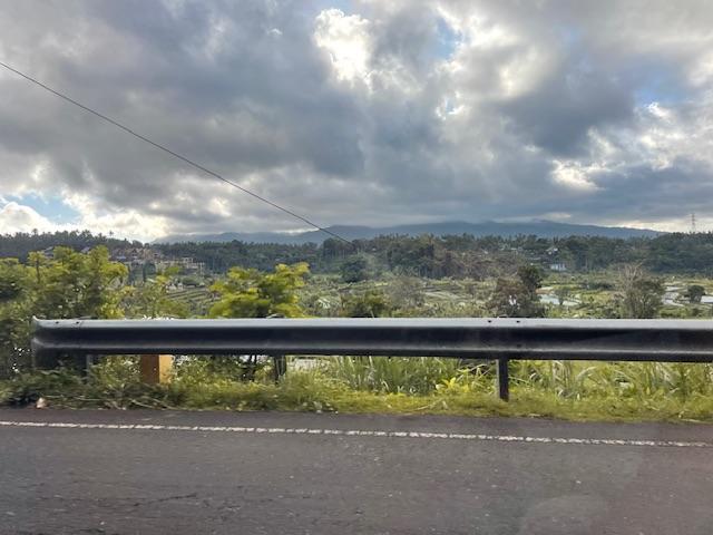 IMG_1032.jpeg.6f2402504e10a03a41302265ffdfd588.jpeg
