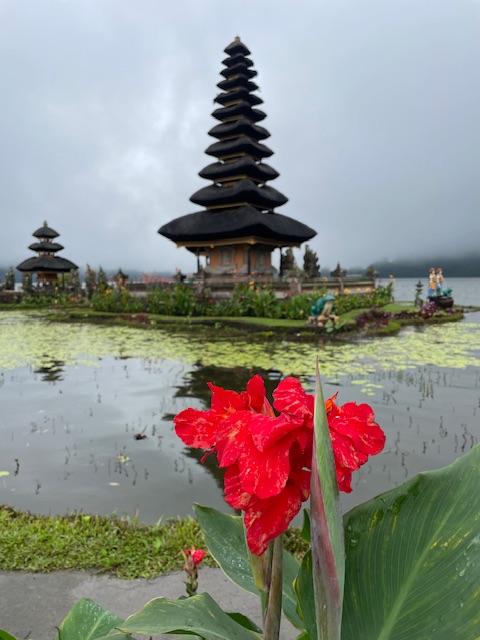 IMG_1103.jpeg.abd04bd240b203c569e6a06860092ab6.jpeg
