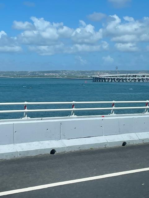 IMG_1203.jpeg.b4644ff5635255acbe95d9b9fff3fa5e.jpeg
