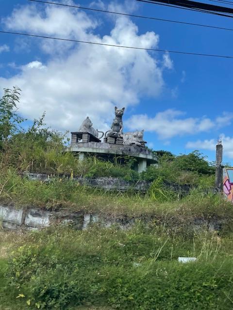 IMG_1206.jpeg.20193437bad098b7be11fd579d7db21e.jpeg