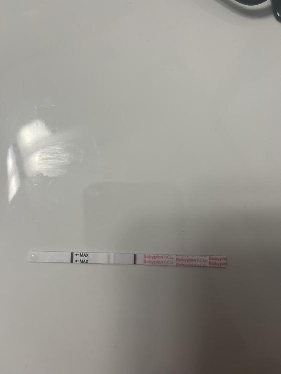 IMG_1305.thumb.jpeg.5be57365a48b8197042eb81a5c456d18.jpeg