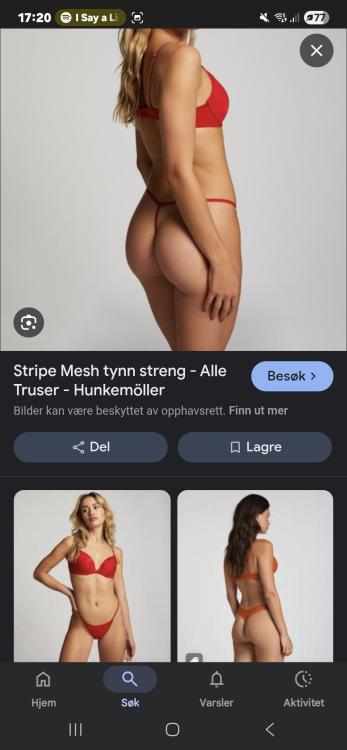 Screenshot_20250629_172010_Google.thumb.jpg.4ee56fbeafe59b79e236d549b4ffc01e.jpg