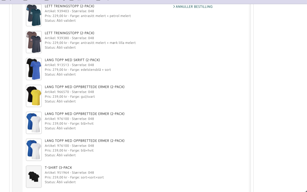 Skjermbilde 2025-06-27 kl. 14.50.40.png