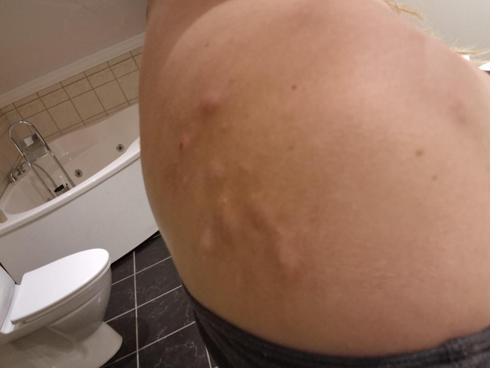 175149509202763756893777906297.thumb.jpg.f6a18f2371c23866abb71e78d27ed97e.jpg