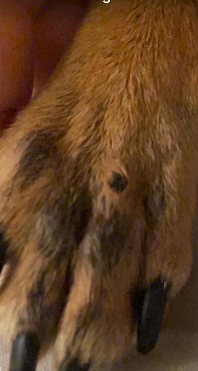 IMG_5569.jpeg