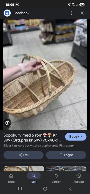 Screenshot_20250728_180941_Google.jpg