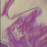 Cam03