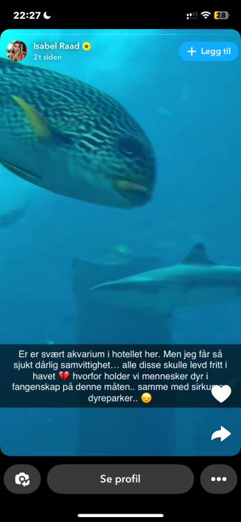 IMG_7799.png