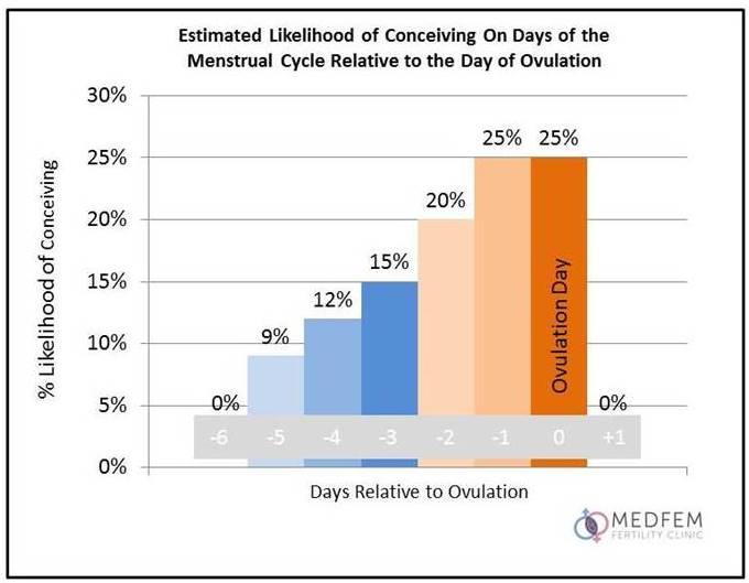 Ovulation1.jpg.6cc91eae6b926ebb0d347c0cdd637c04.jpg