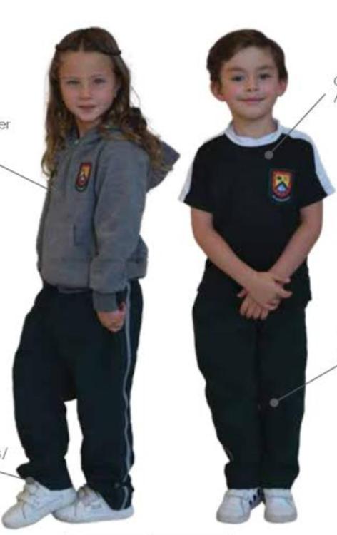 Screenshot_20250811_225326_Samsung Internet.jpg