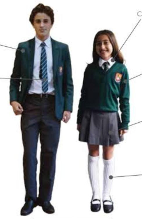 Screenshot_20250811_225337_Samsung Internet.jpg