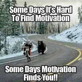 image.webp.79719d10a762a9919f8e2ab397674b9c.webp
