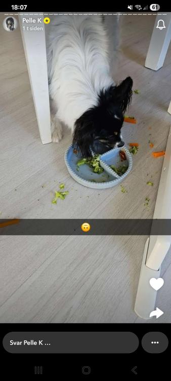Screenshot_20250918_180722_Snapchat.jpg