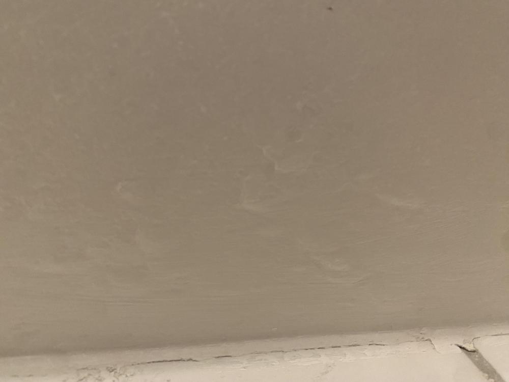 IMG_1062.jpeg
