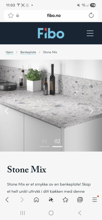 Screenshot_20251102_110310_Samsung Internet.jpg