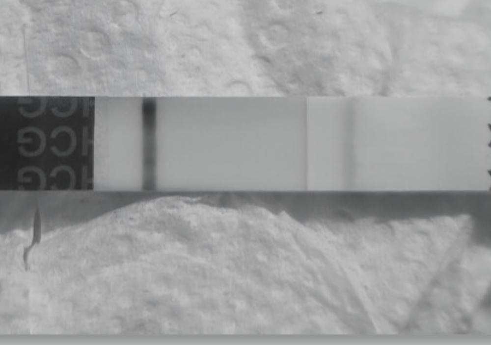 Screenshot_20251113_205602_FF App.jpg