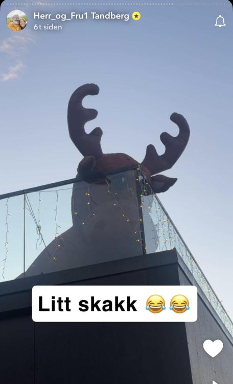 IMG_3244.thumb.jpeg.6a0fa6865779898b2e572e17992367e4.jpeg