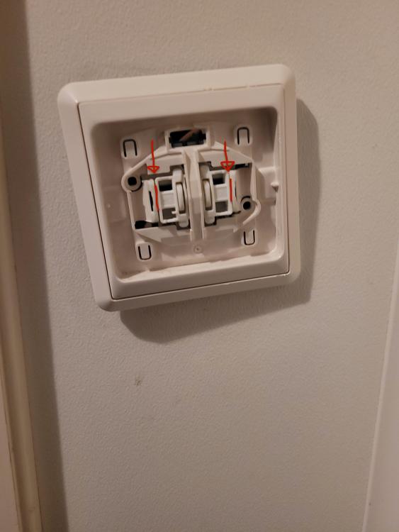 image.jpeg