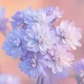 Magnifique