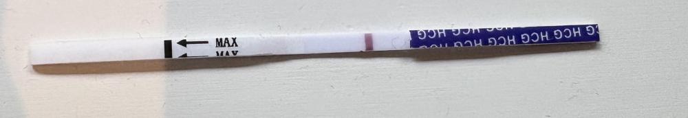 IMG_0457.jpeg