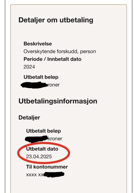 IMG_5582.jpeg