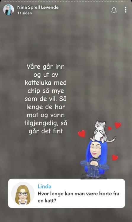 IMG_4140.jpeg